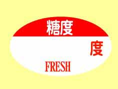 ١١FRESH