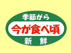 ᤬麣٤