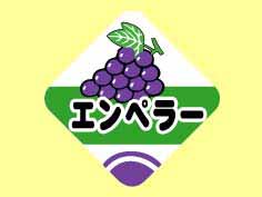 ڥ顼