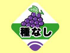ʤ