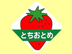 ȤȤ