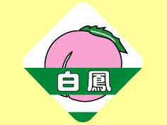 ˱