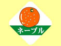 ֥͡