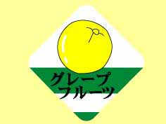 졼ץե롼