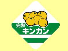 ϡ󥫥