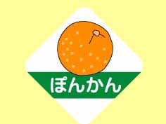 ݤ󤫤