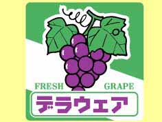 ǥ饦