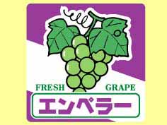 ڥ顼
