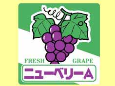˥塼٥꡼A