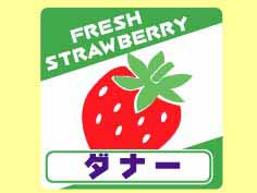 ʡ