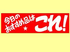ΤʤϤ졪