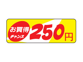 󥹡250