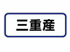Ż