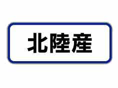 Φ