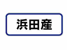 Ļ
