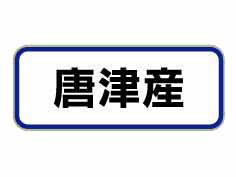 Ż