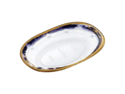 ǥD21V