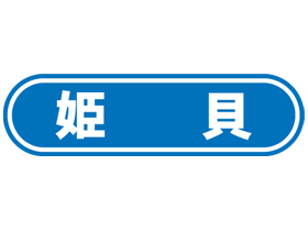 ɱ